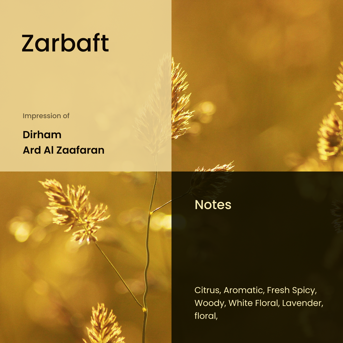 Zarbaft! Impression of Dirham by Ard Al Zaafaran